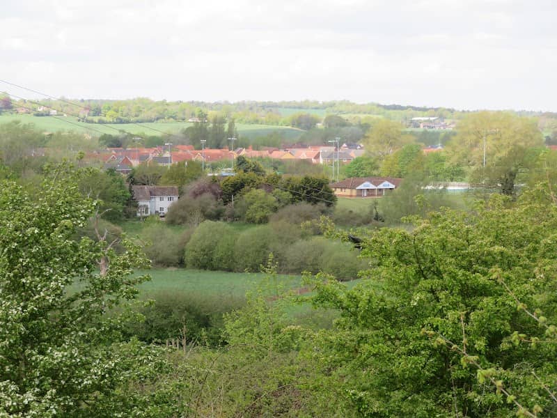 Great cornard, historic oak - Image 2