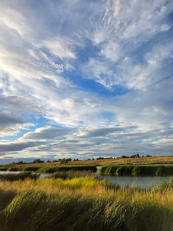 Quail Trail - Image 1