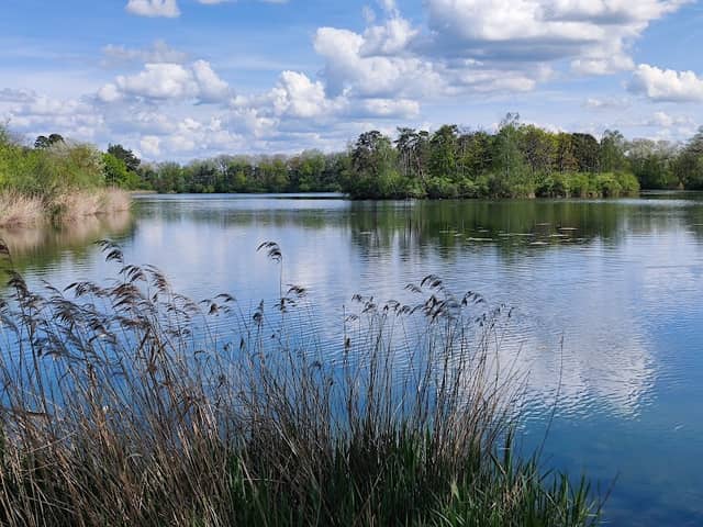 Aussichtspunkt Auwaldsee - Image 1