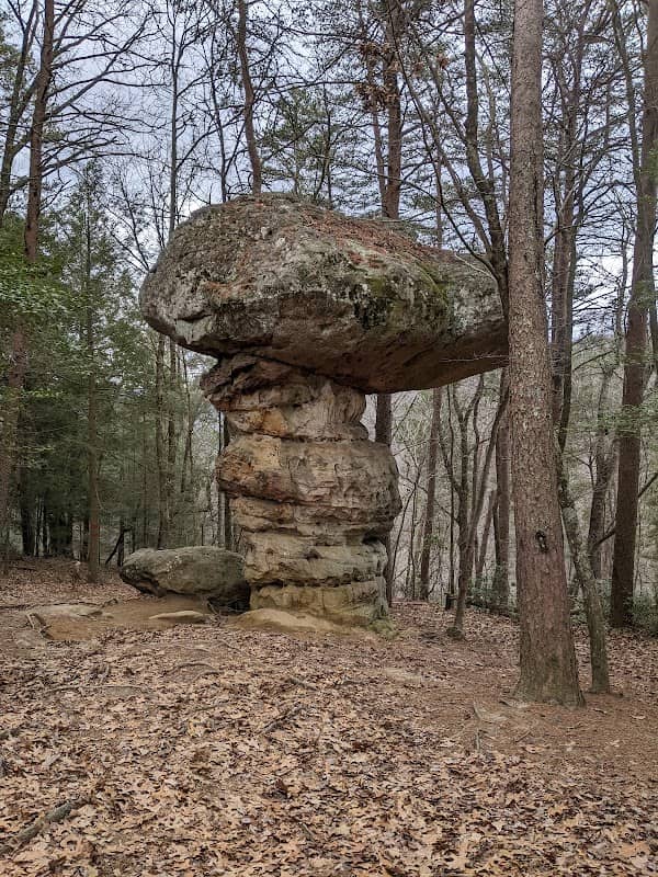 Mushroom Rock - Image 1