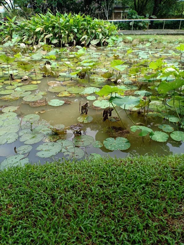 Senior Botanic Garden - Image 2