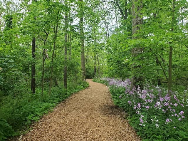 Vera Meineke Nature Center at Spring Valley - Image 1