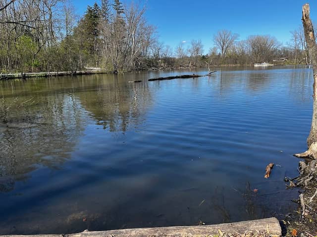Vera Meineke Nature Center at Spring Valley - Image 2