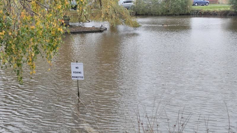 Pirbright Duck Pond - Image 1