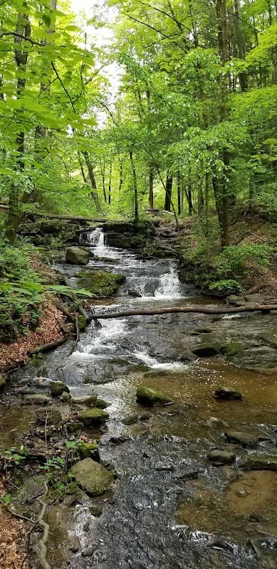 New England Trail at Robinson State Park - Image 2