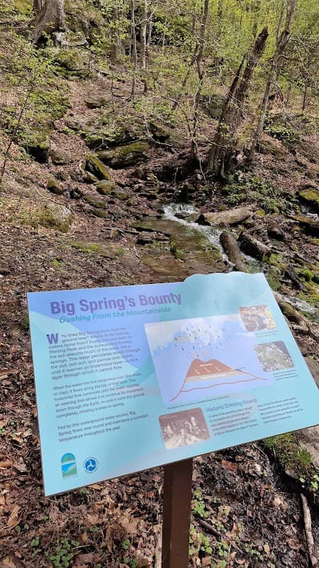 Big Spring's Bounty - Image 1