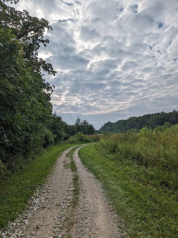 Dutch Fork Wetland - Image 1