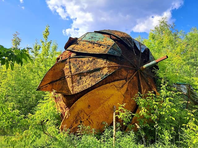 Abandoned Strawberry - Image 1