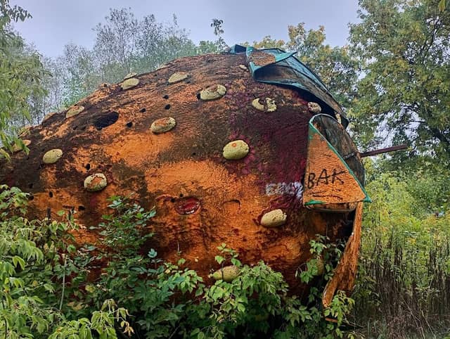 Abandoned Strawberry - Image 2