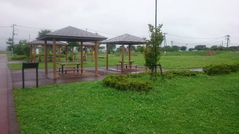 Sendai Airport Rinku Park - Image 1