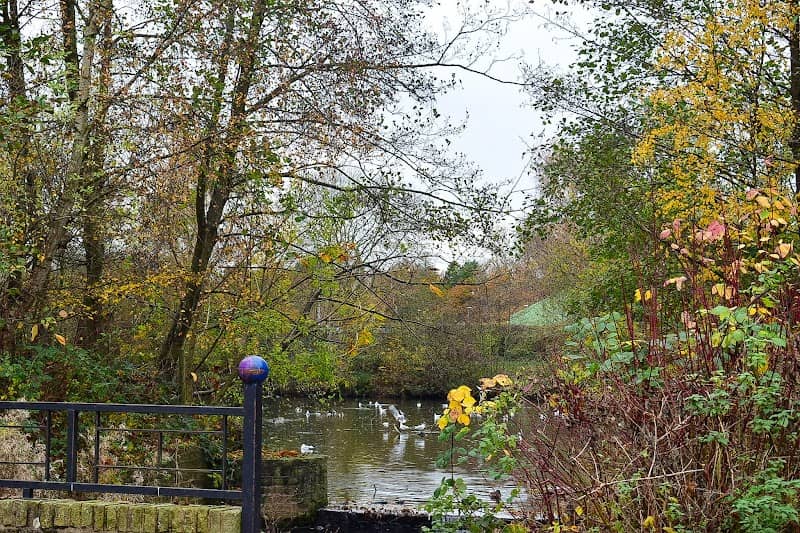 Tudor Grange Park Lake - Image 1