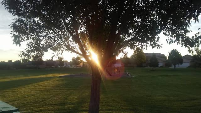 Orr Park - Image 2
