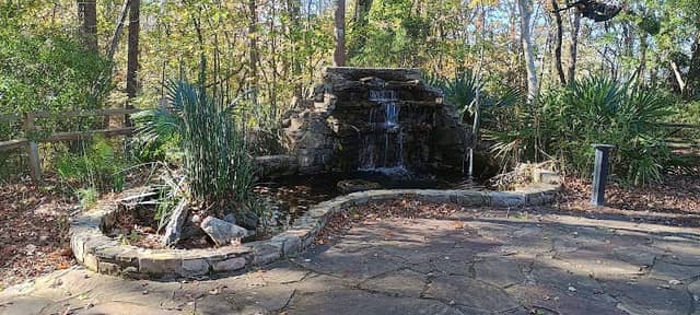 Bird of Prey Trail - Image 1