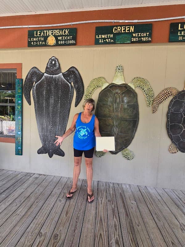 Forgotten Coast Sea Turtle Center - Image 2