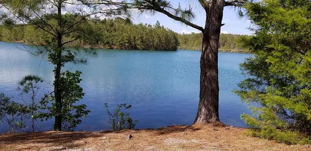 Stones Creek Game Land - Image 2