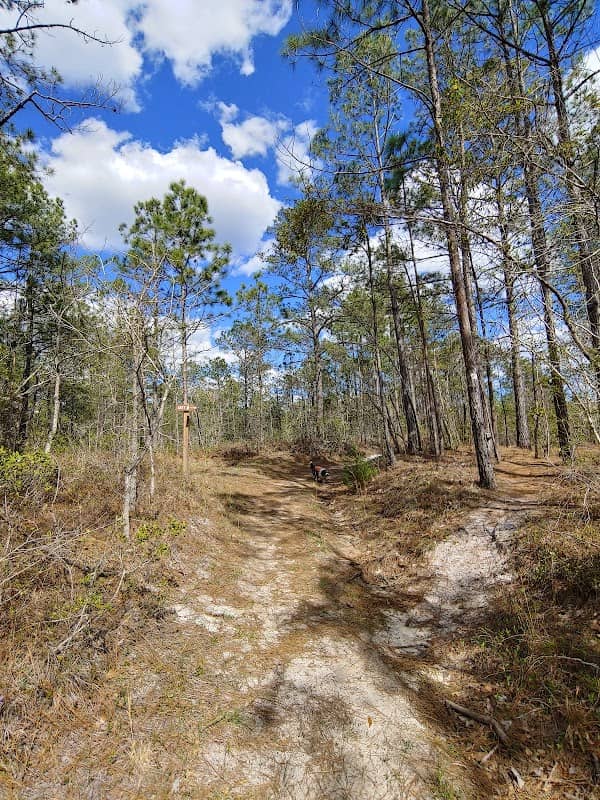 Stones Creek Game Land - Image 1