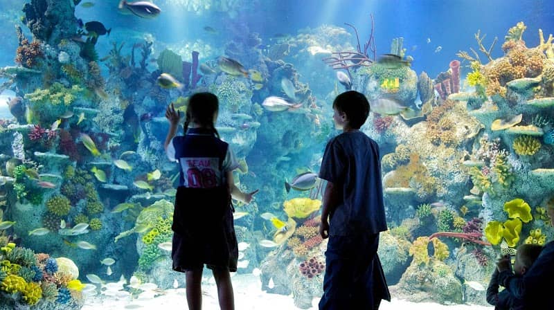 Bristol Aquarium - Image 1