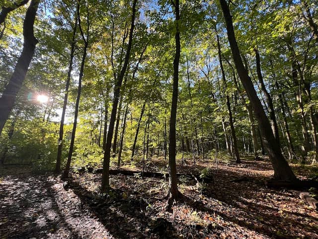 Oakwoods Nature Area - Image 1