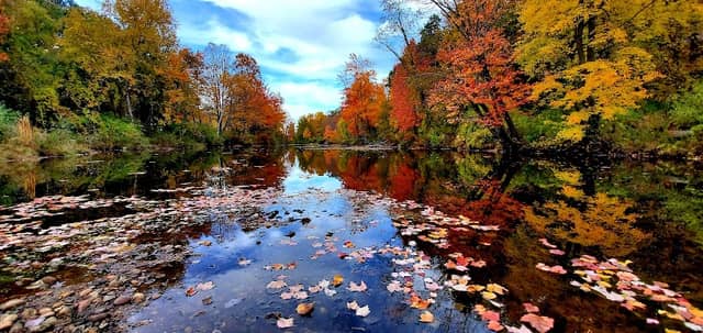 Peterborough Common Pathway - Image 2