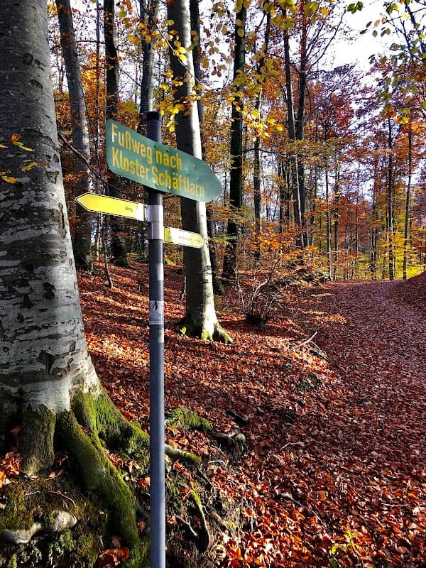 Die Birg, Gde. Baierbrunn - Image 1