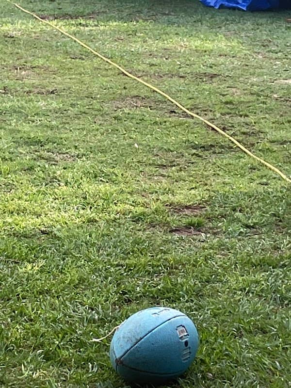 Ball Park - Image 1