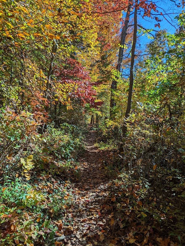 Bog Walk Trail - Image 1