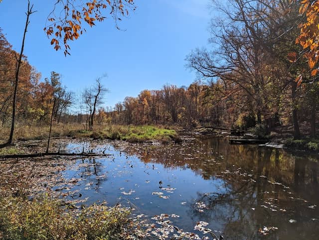 Bog Walk Trail - Image 2