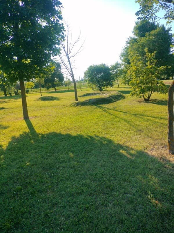 Parco Bici Roncade - Image 2