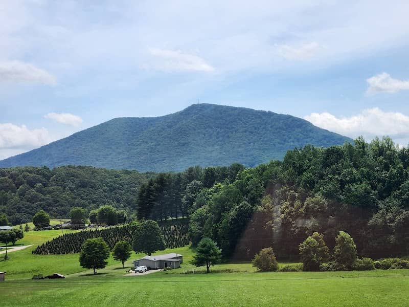 Phoenix Lake, Ashe County Park - Image 1