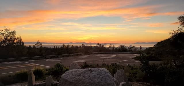 Oakland Hills Fire Memorial Park - Image 1