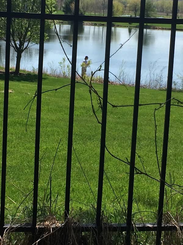 Huston Park - Image 2