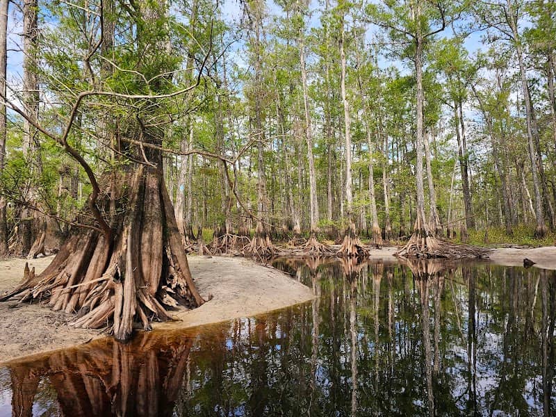 Fisheating Creek Wildlife Management Area - Image 3