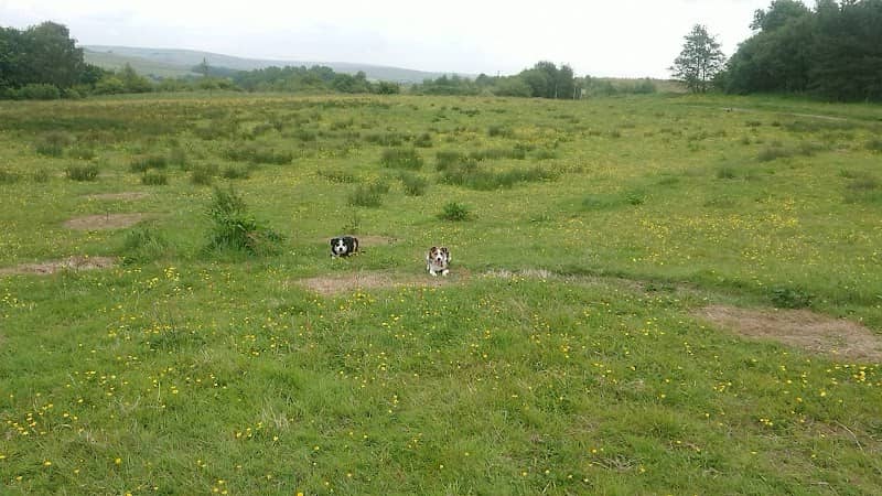 Jubilee Meadows - Image 1