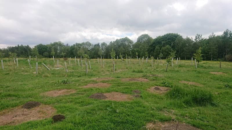 Jubilee Meadows - Image 2