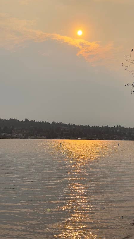 Gene Coulon Bird Island - Image 2