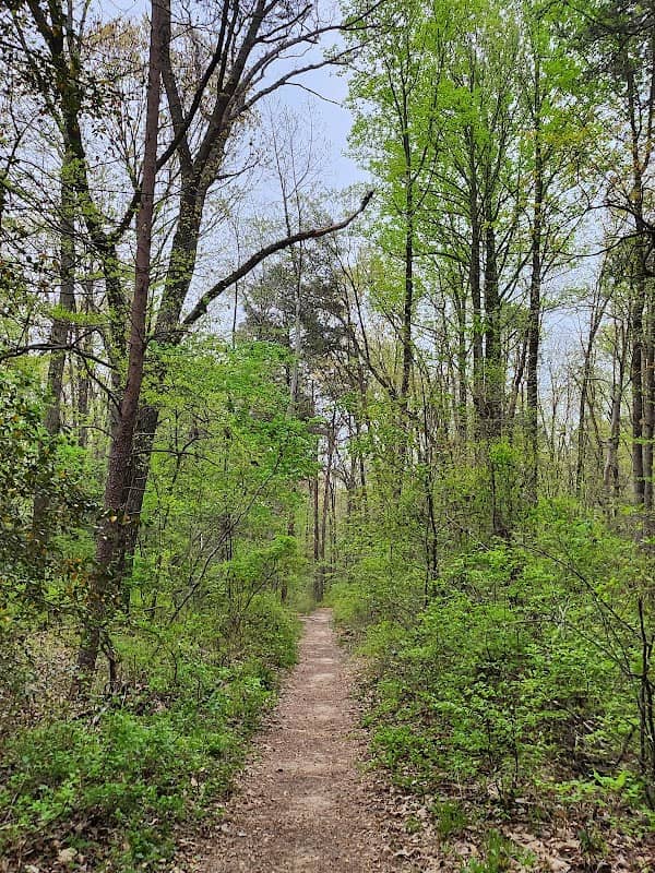 Severn Run Environmental Area - Image 1