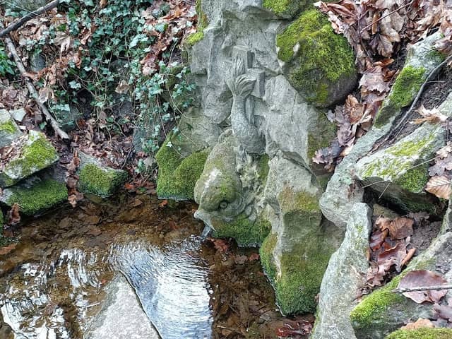 Froschquelle - Image 1