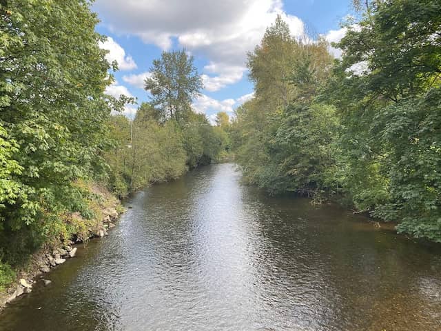 Maplewood Roadside Park - Image 2