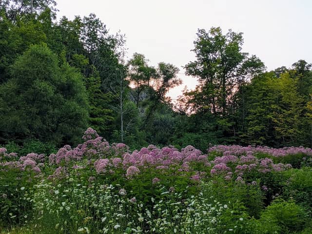 Red Brook Metropark - Image 2