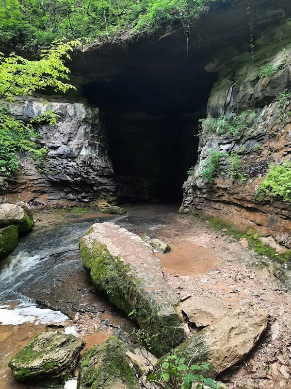 Donaldson Cave - Image 1