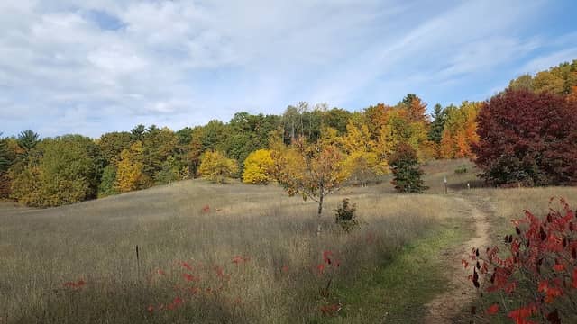 Pelizzari Natural Area - Image 2