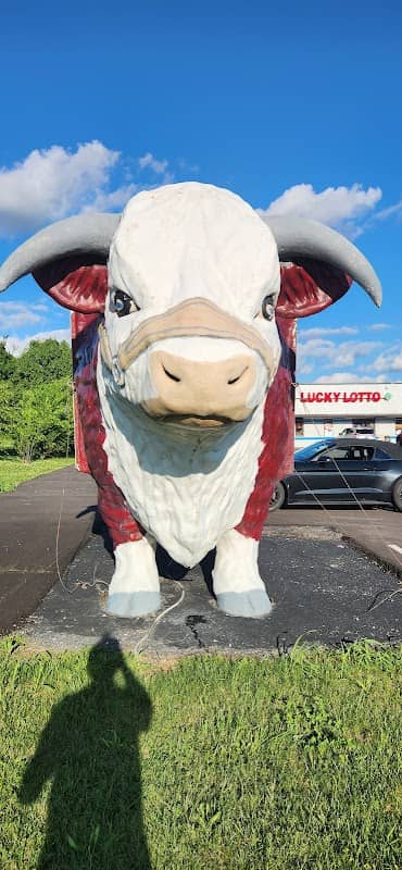 Kratom Bull - Image 1