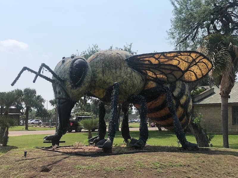 Worlds Largest Killer Bee - Image 1
