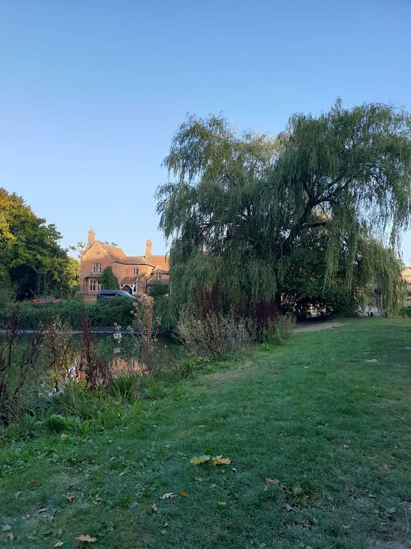 Causeway Pond - Image 2