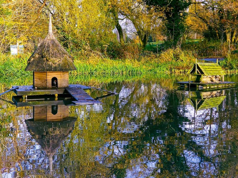 Causeway Pond - Image 1