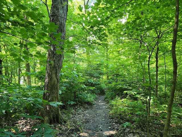 August G. Beckemeier Conservation Area - Image 2