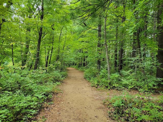 Apple River Canyon State Park - Image 3