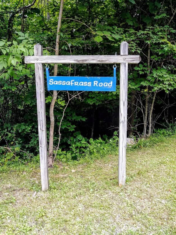 Sassafras Trail - Image 1