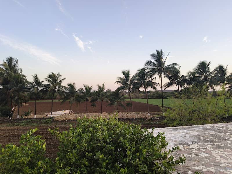 Mori farm - Image 1