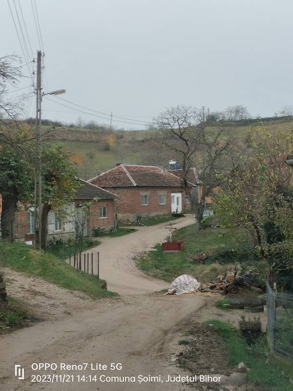 Dumbrăvița de Codru - Image 1